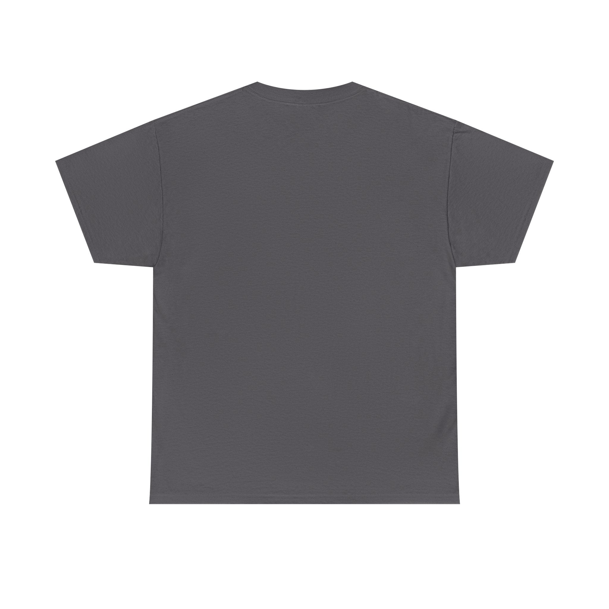 Lower Teacher Salaries T-Shirt